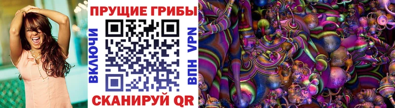 Купить  Верхняя Тура  Псилоцибиновые грибы мухоморы 